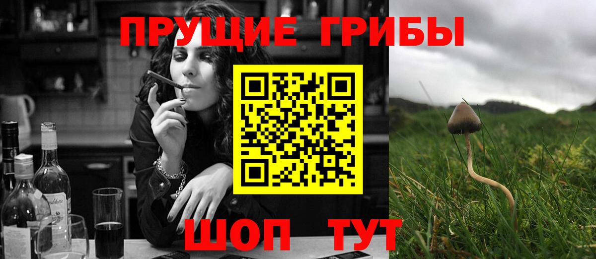 Усолье-Сибирское  Псилоцибиновые грибы Psilocybe  Вход с VPN  как найти закладки  Галлюциногенные грибы ЛСД 