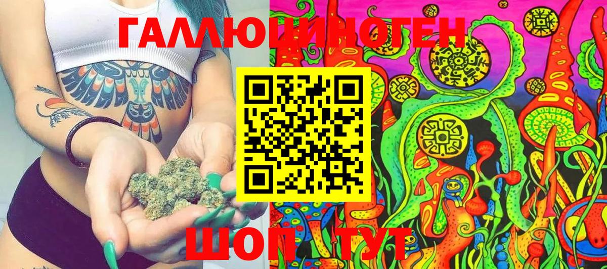 Псилоцибиновые грибы Psilocybe Усолье-Сибирское